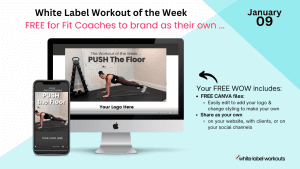 Read more about the article Surprise!  It’s SUNDAY!  Here’s your White label Workout of the week a day early …