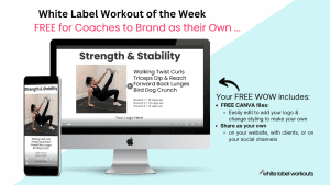 Read more about the article Strength & Stability – Training 2 Fit Principles Together with this week’s White Label Workout
