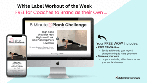 Read more about the article 5 Minute Plank Challenge:  the White Label Workout of the Week