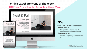Read more about the article TWIST & PULL – Your FREE White Label Workout of the Week