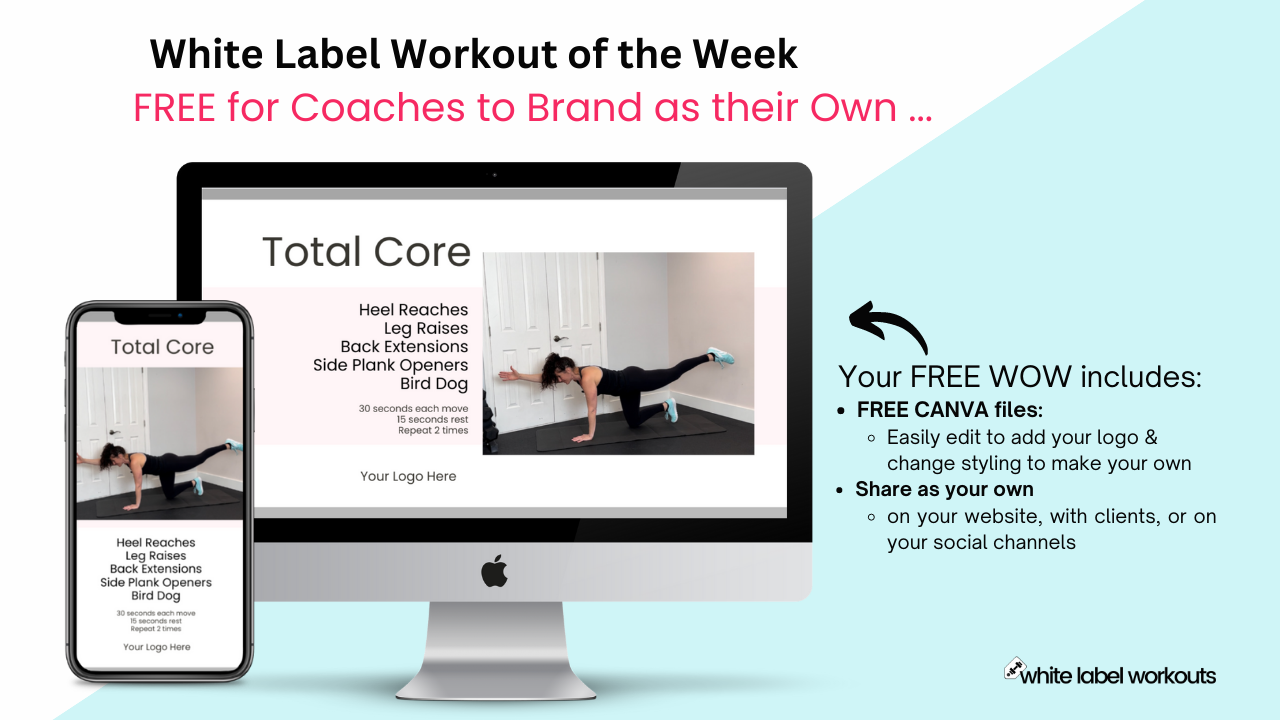 You are currently viewing TOTAL CORE:  Your White Label Workout of the Week