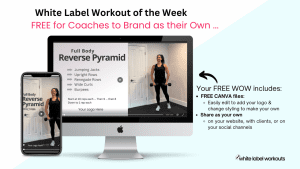 Read more about the article Reverse Pyramid:  Your White Label Workout of the Week
