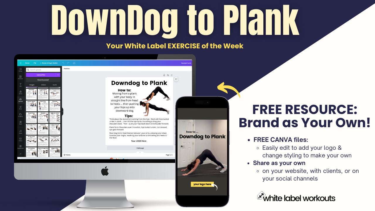 Read more about the article Downdog to Plank:  Your White Label Exercise Explainer of the Week