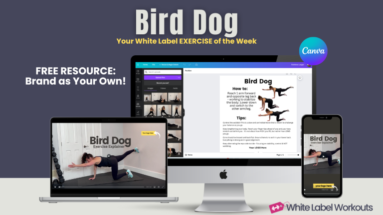 Read more about the article Bird Dog:  White Label Exercise Explainer