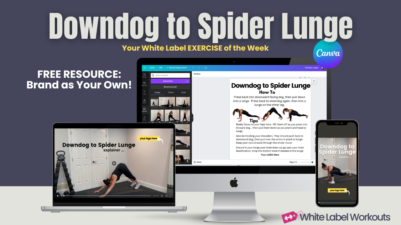 Read more about the article Downdog to Spider Lunge:  Your White Label Exercise Explainer of the Week [FREE Resource]