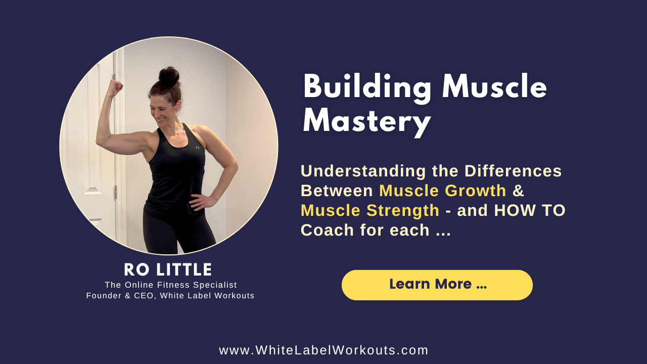 Read more about the article Building Muscle Mastery