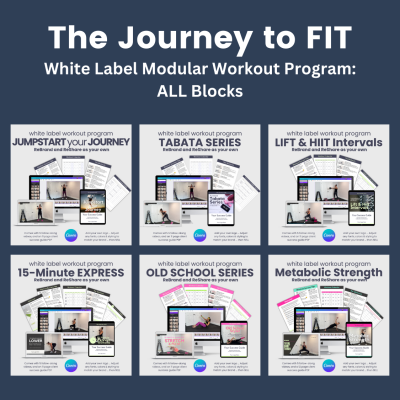 Journey to FIT: The Complete Program with ALL Blocks