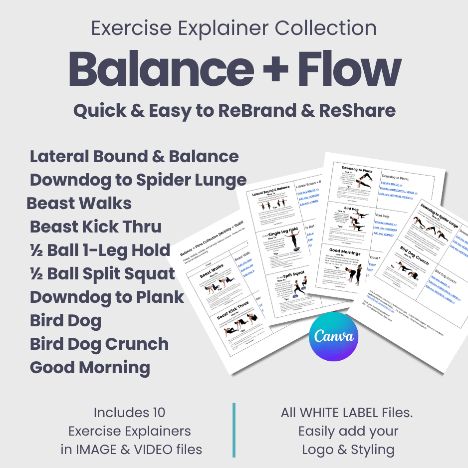 White Label Exercise Explainer: Balance + Flow