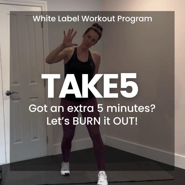White Label Workout video Program; Take5