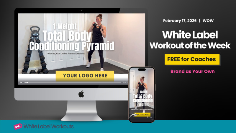 The Momentum Pyramid: From One Workout To Recurring Income | White ...