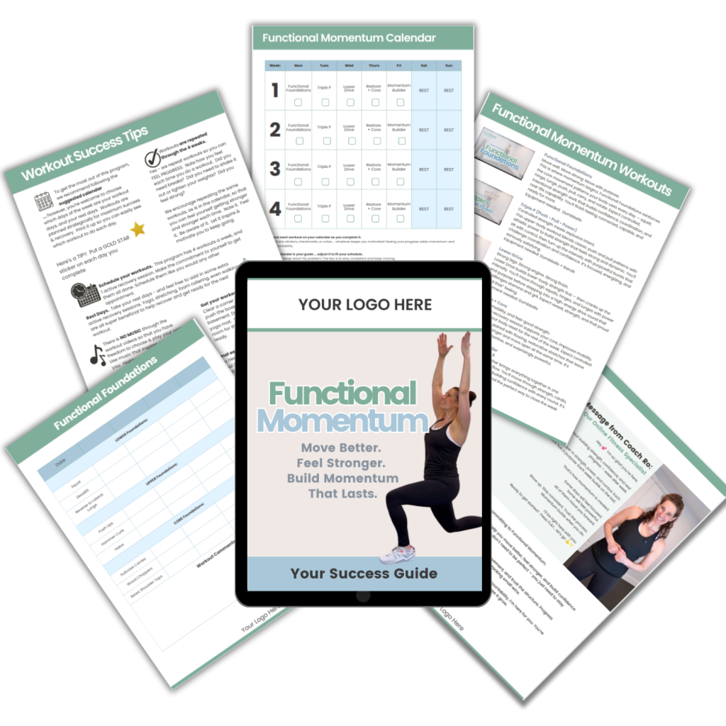 Functional Momentum Success Guide PDF